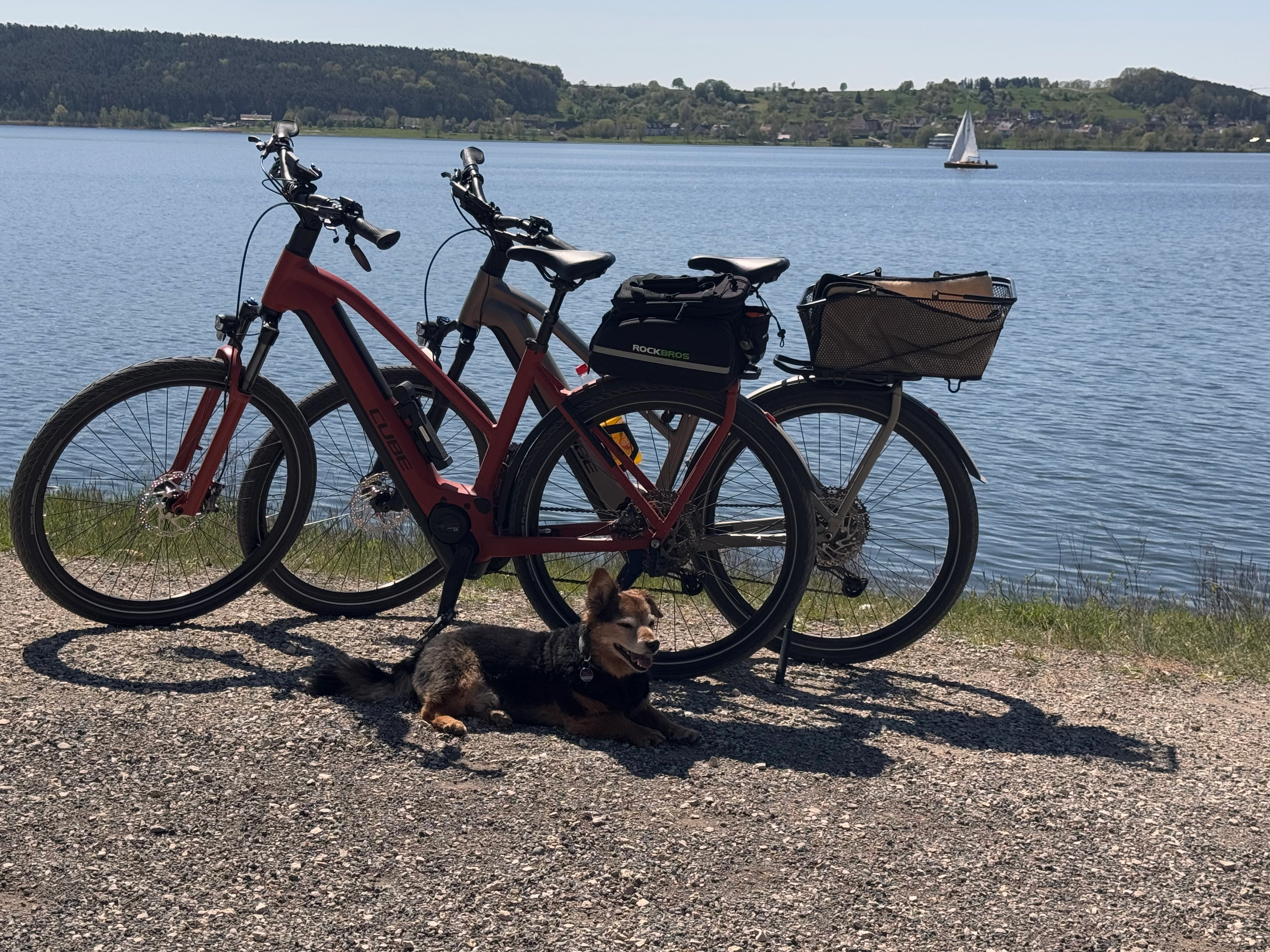 Zwei Fahrräder stehen am Ufer eines Sees, dahinter Wasser, Hügel und ein Segelboot; davor liegt ein kleiner Hund im Schatten.